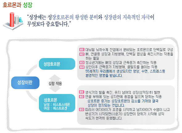 호르몬과성장