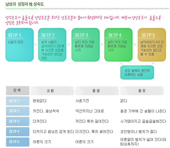 성성숙도